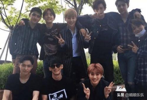 今日吃瓜每日必吃 网红大秋千